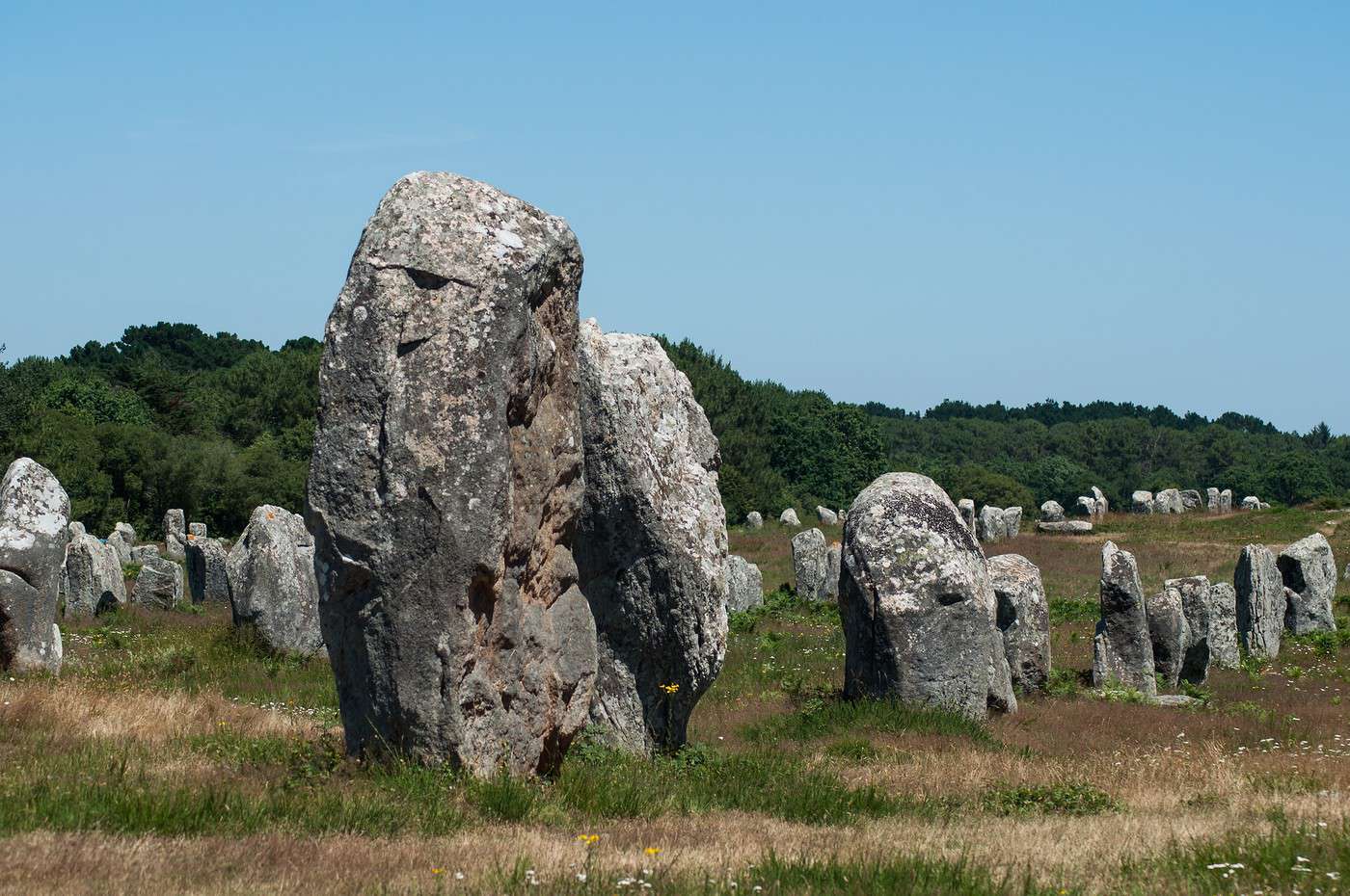 Alignements de Carnac, Carnac, Morbihan, France