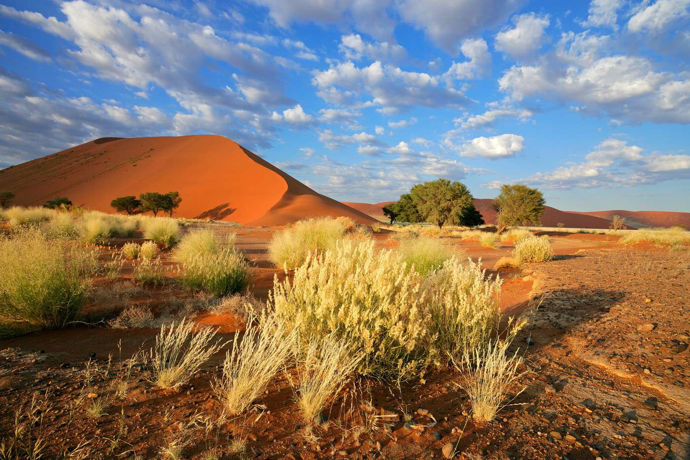 Sossusvlei, Namibie