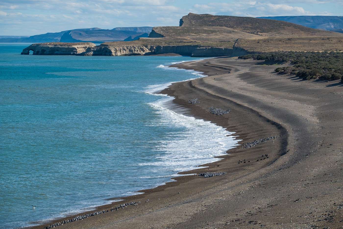 Parc national Monte Leon, Argentine