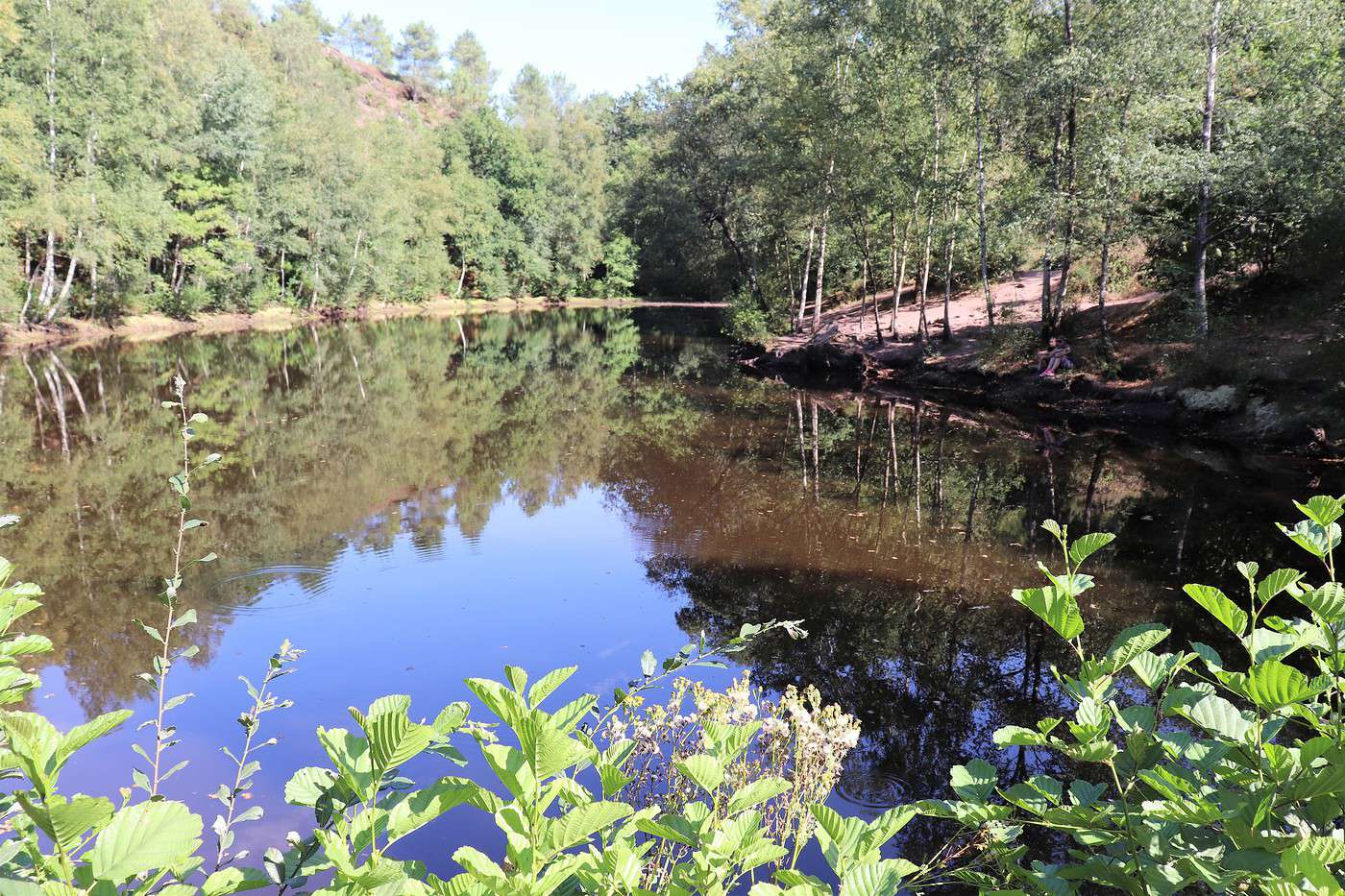 Forêt de Brocéliande, Ille-et-Vilaine, France