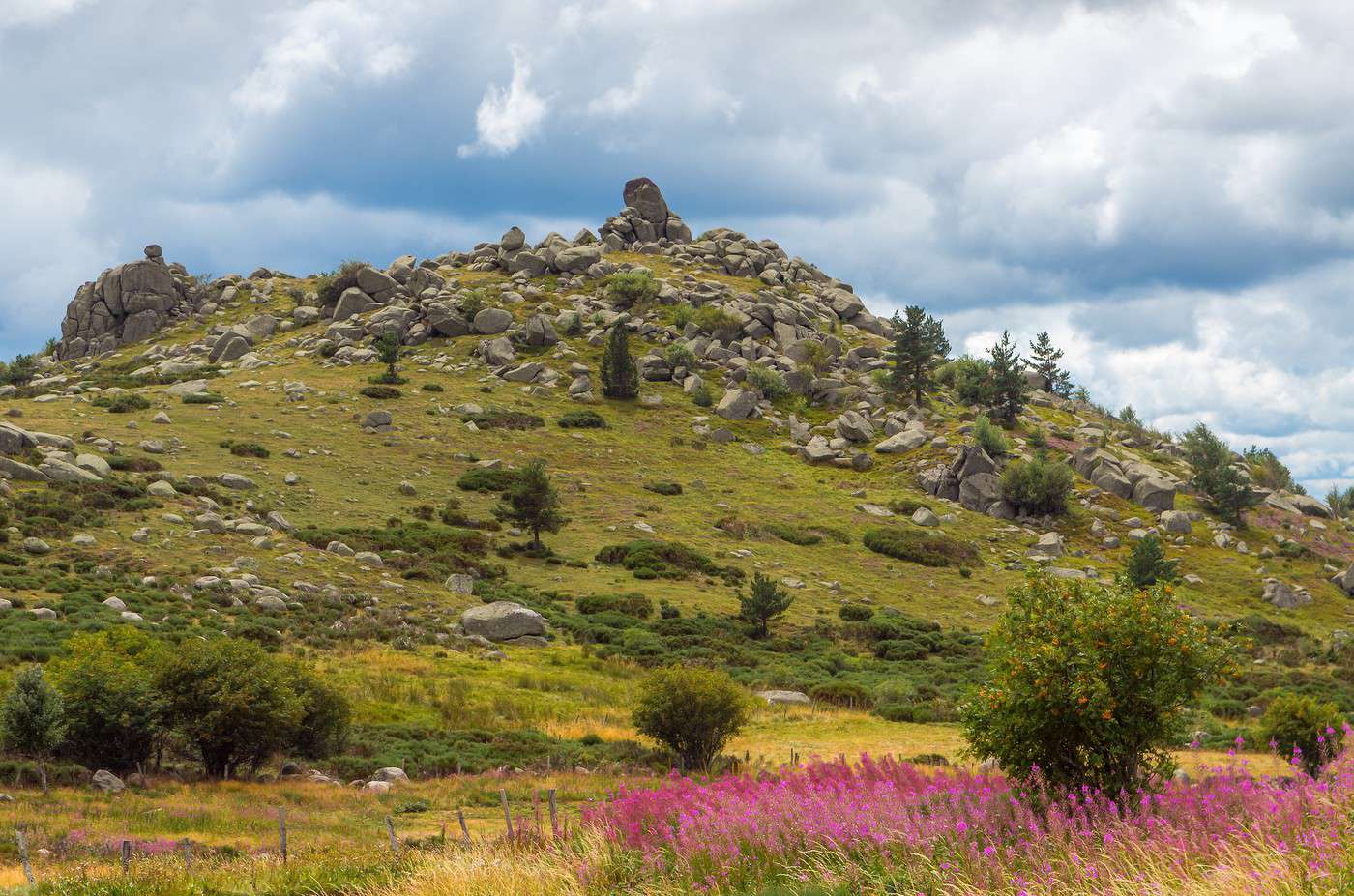 Mont Loz&egrave;re, Loz&egrave;re, France