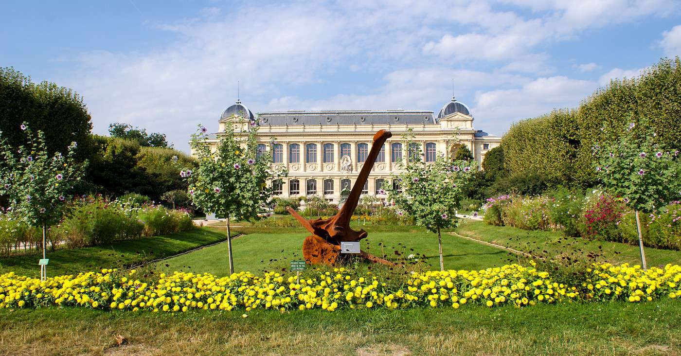 Jardin des plantes (jardin botanique de la France) - Guide voyage