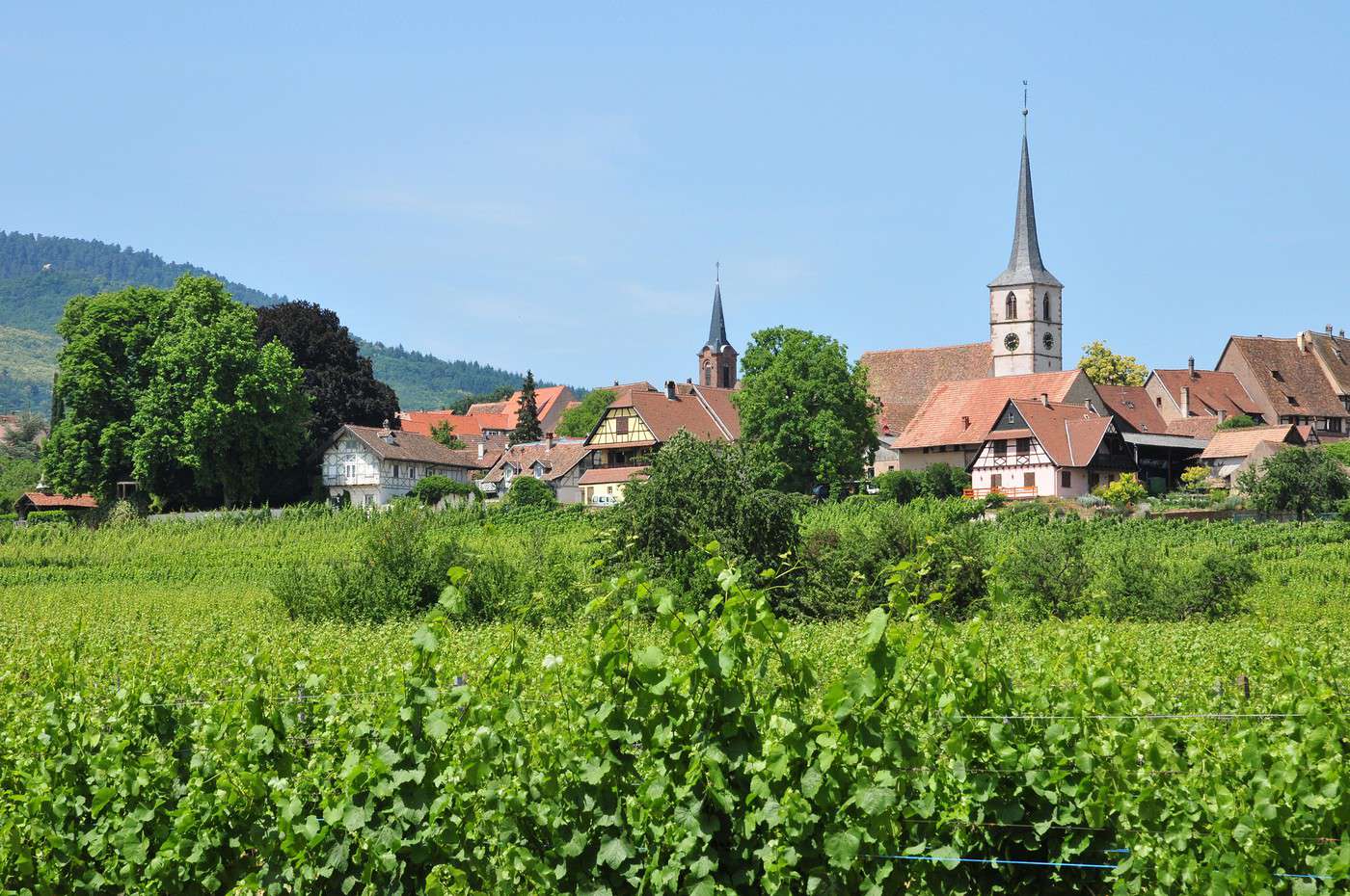 Mittelbergheim, Bas-Rhin, France