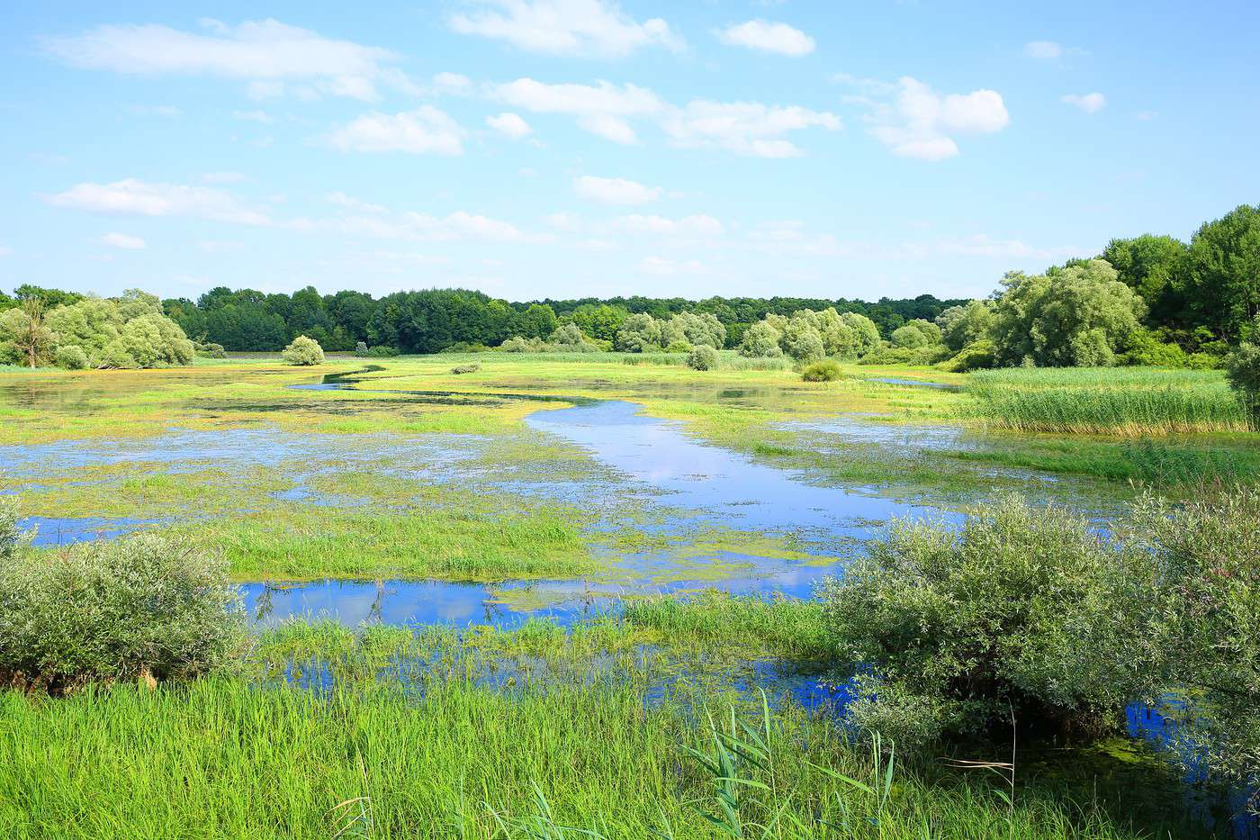 Parc naturel r&eacute;gional de la For&ecirc;t d'Orient, Aube, France