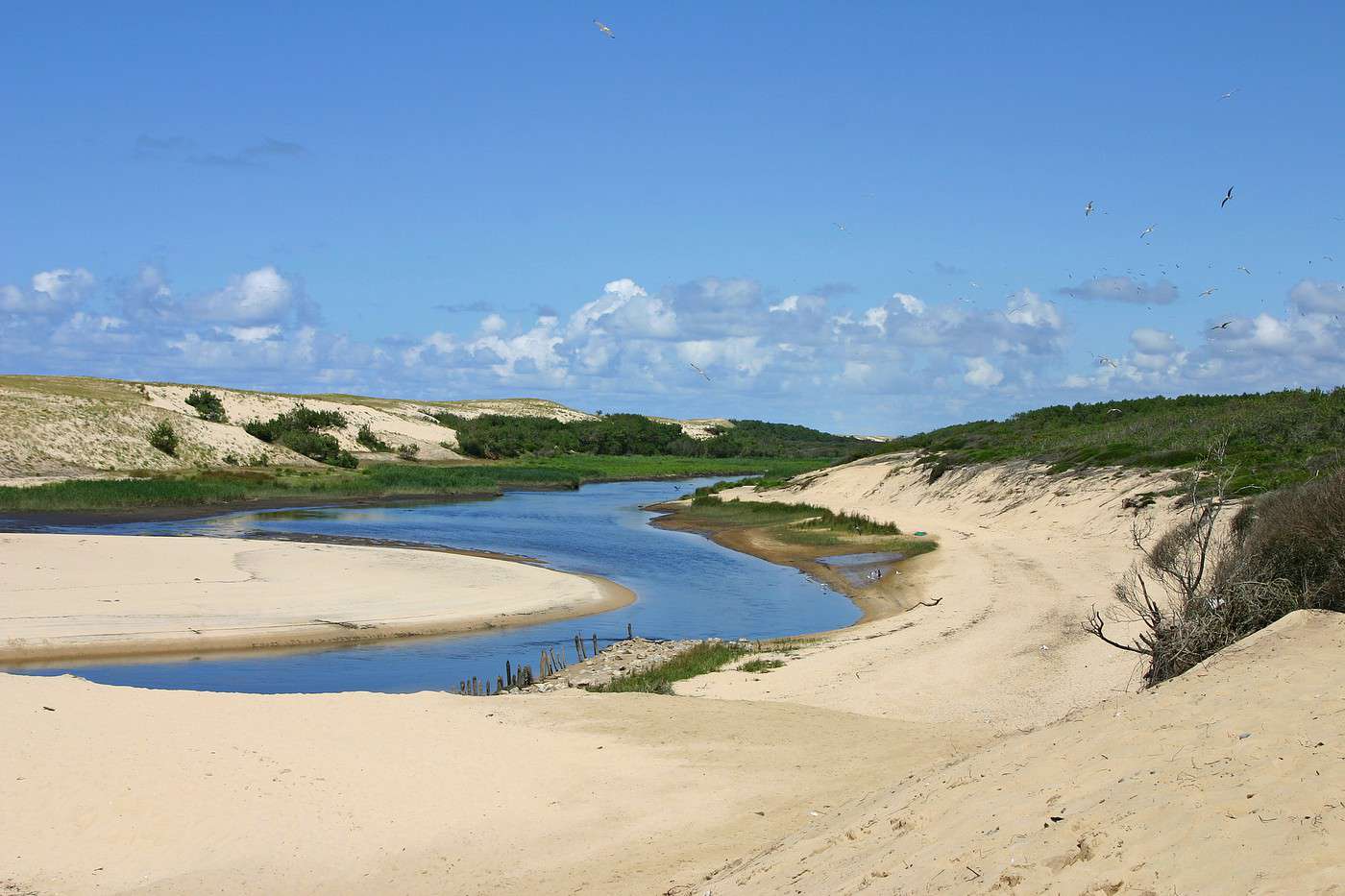 Courant d'Huchet, Landes, France