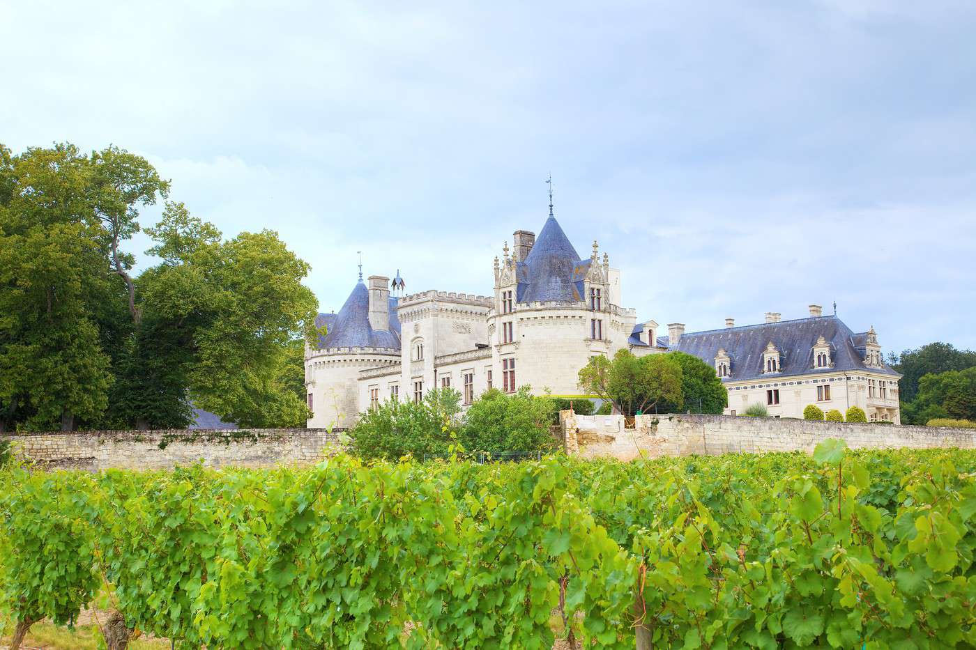 Ch&acirc;teau de Br&eacute;z&eacute;, Maine-et-Loire, France