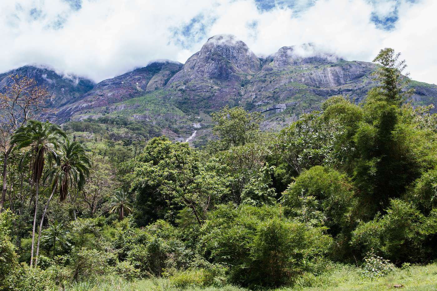 Mont Mulanje, Malawi