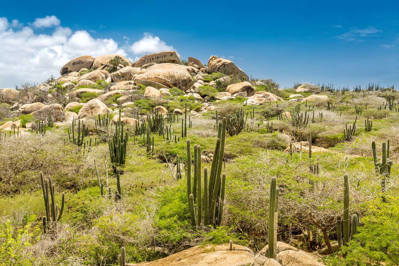 Parc national Arikok, Aruba