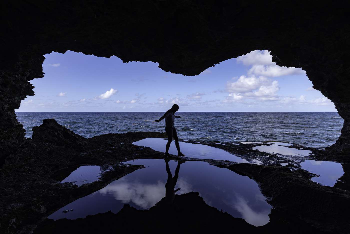 Animal Flower Cave, Barbade