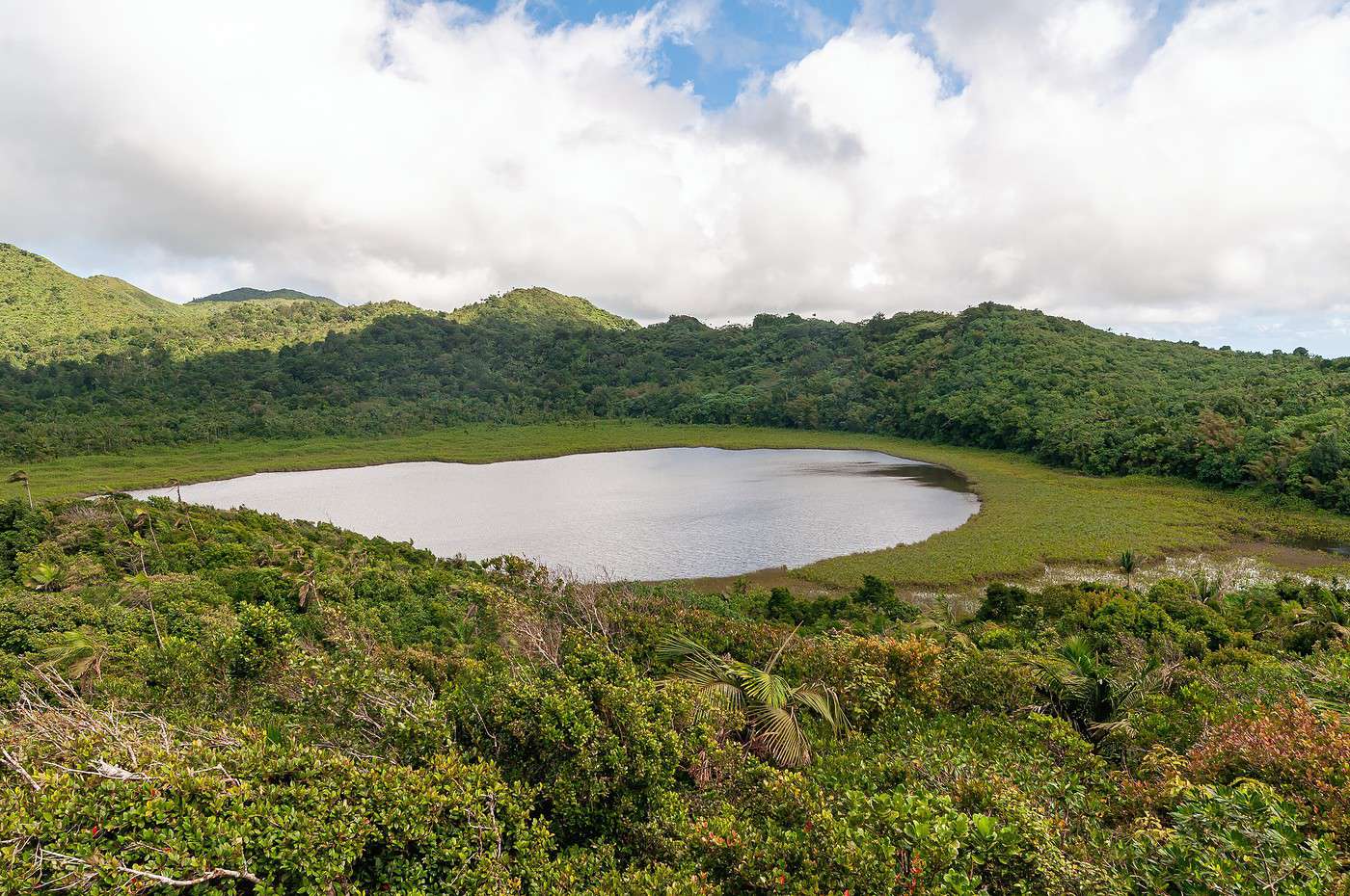 Parc national Grand Etang, Grenade