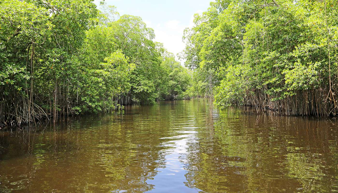 Black River, Jamaïque