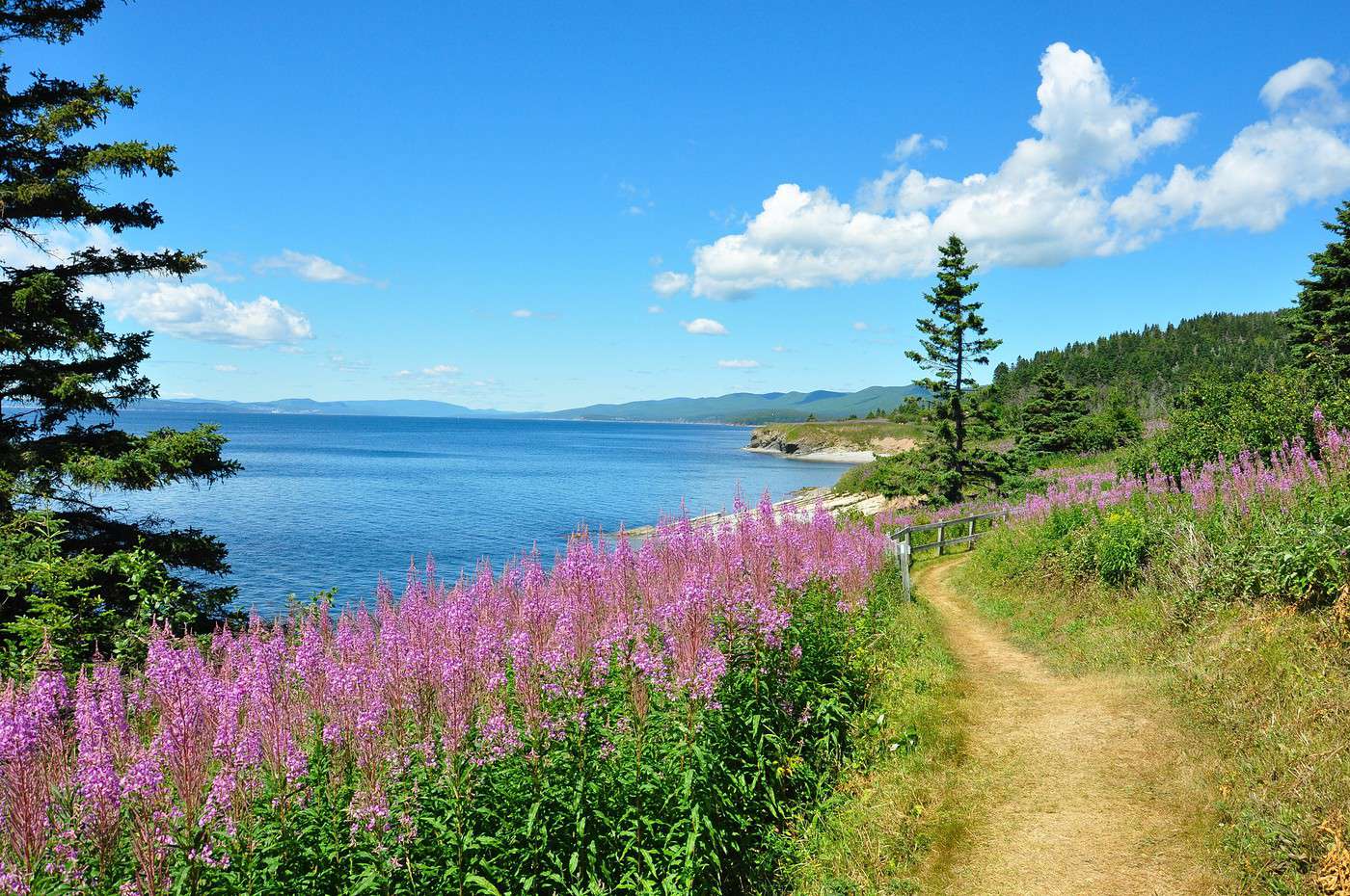 Parc national Forillon, Québec, Canada