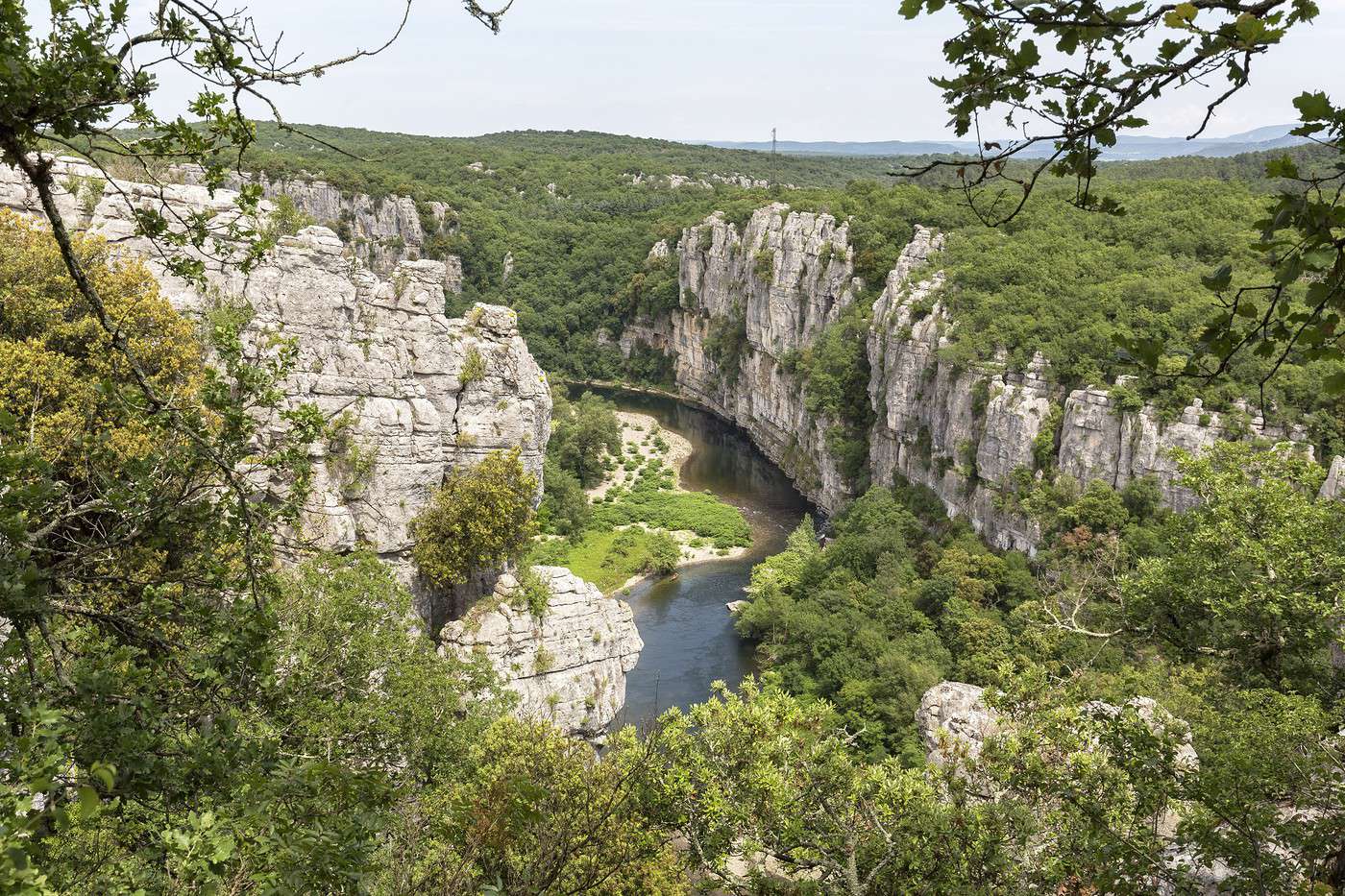 Bois de Pa&iuml;olive, Ard&egrave;che, France