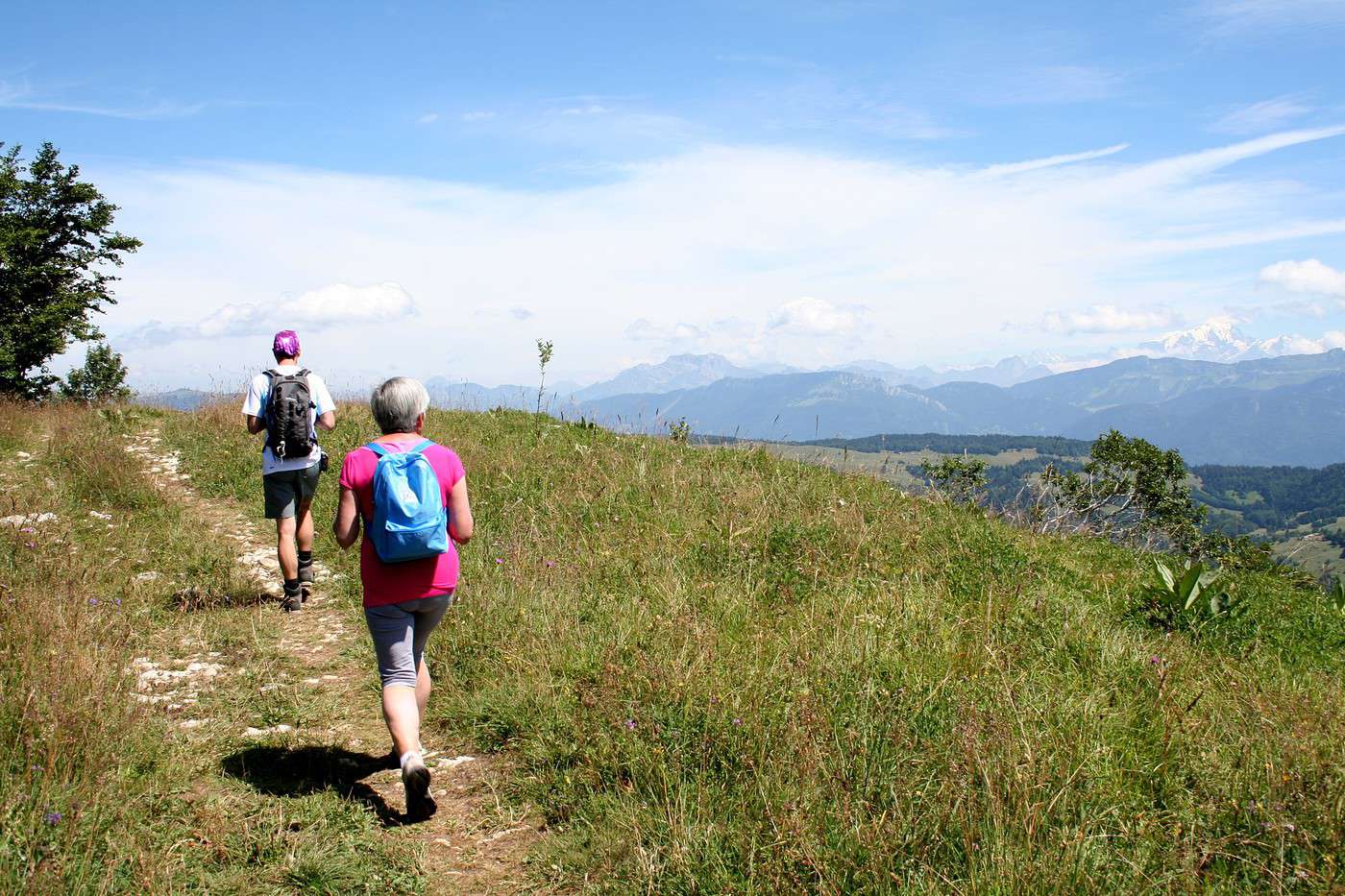 Parc naturel régional du Massif des Bauges, Savoie, France