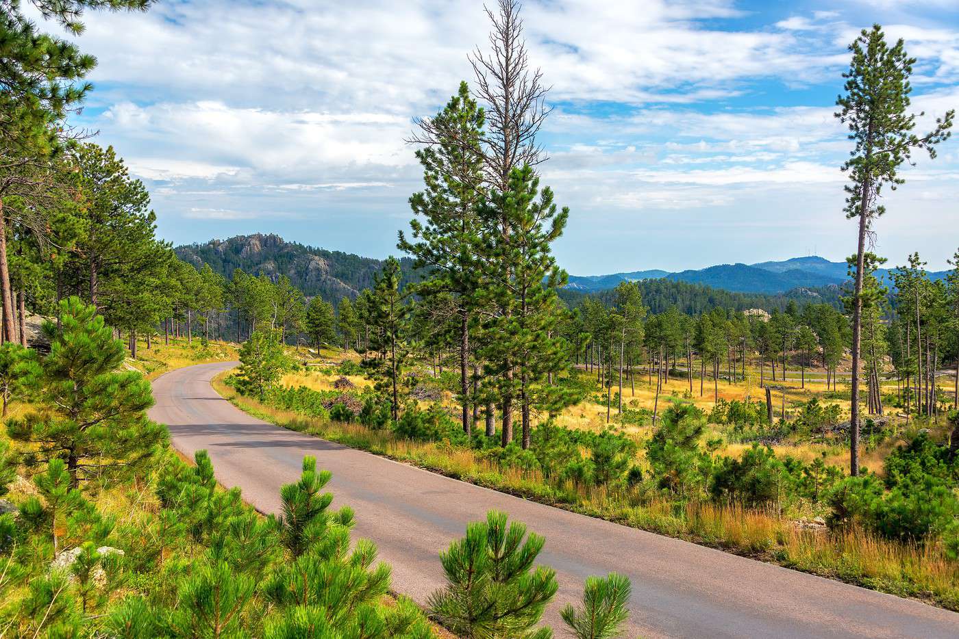 Parc d'&eacute;tat Custer, Dakota du Sud, &Eacute;tats-Unis