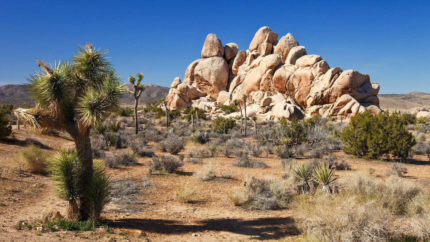 D&eacute;sert des Mojaves, Californie, &Eacute;tats-Unis
