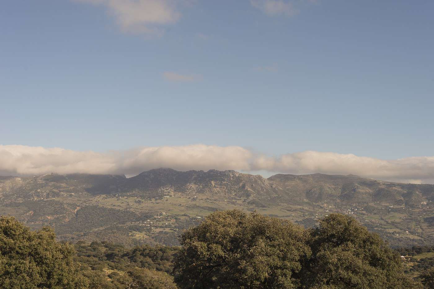 Parc naturel de Los Alcornocales, Espagne