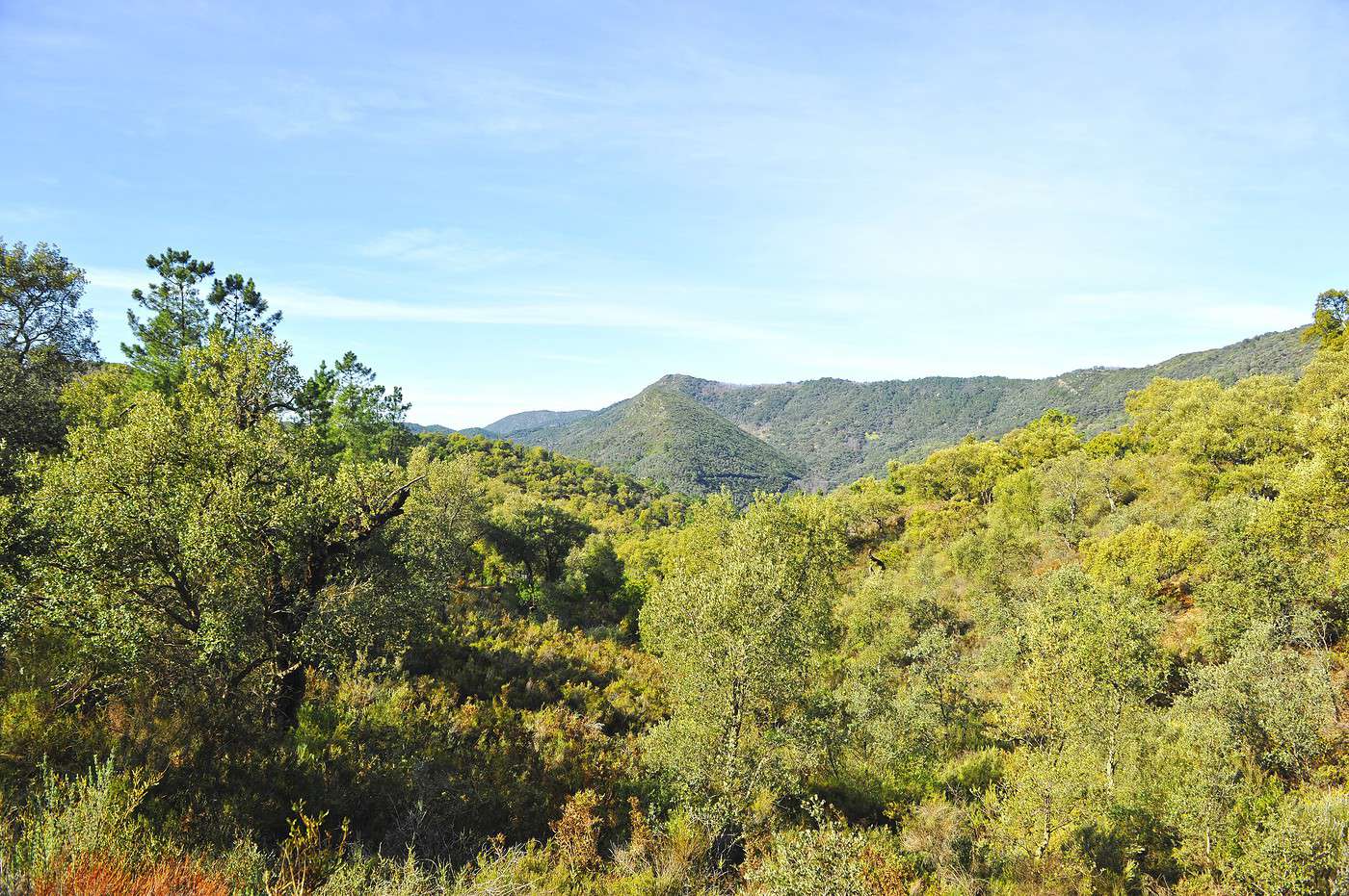 Parc naturel de la Sierra de Aracena, Espagne