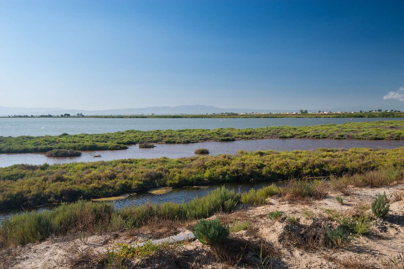 Parc naturel du delta de l'Ebre, Espagne