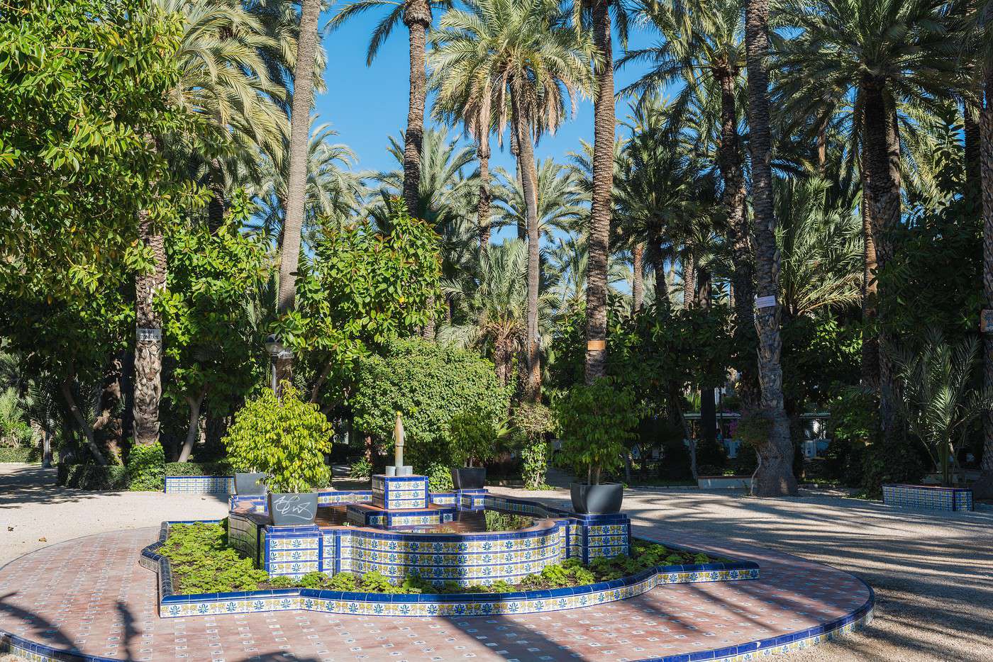Palmeraie d'Elche, Elche, Espagne