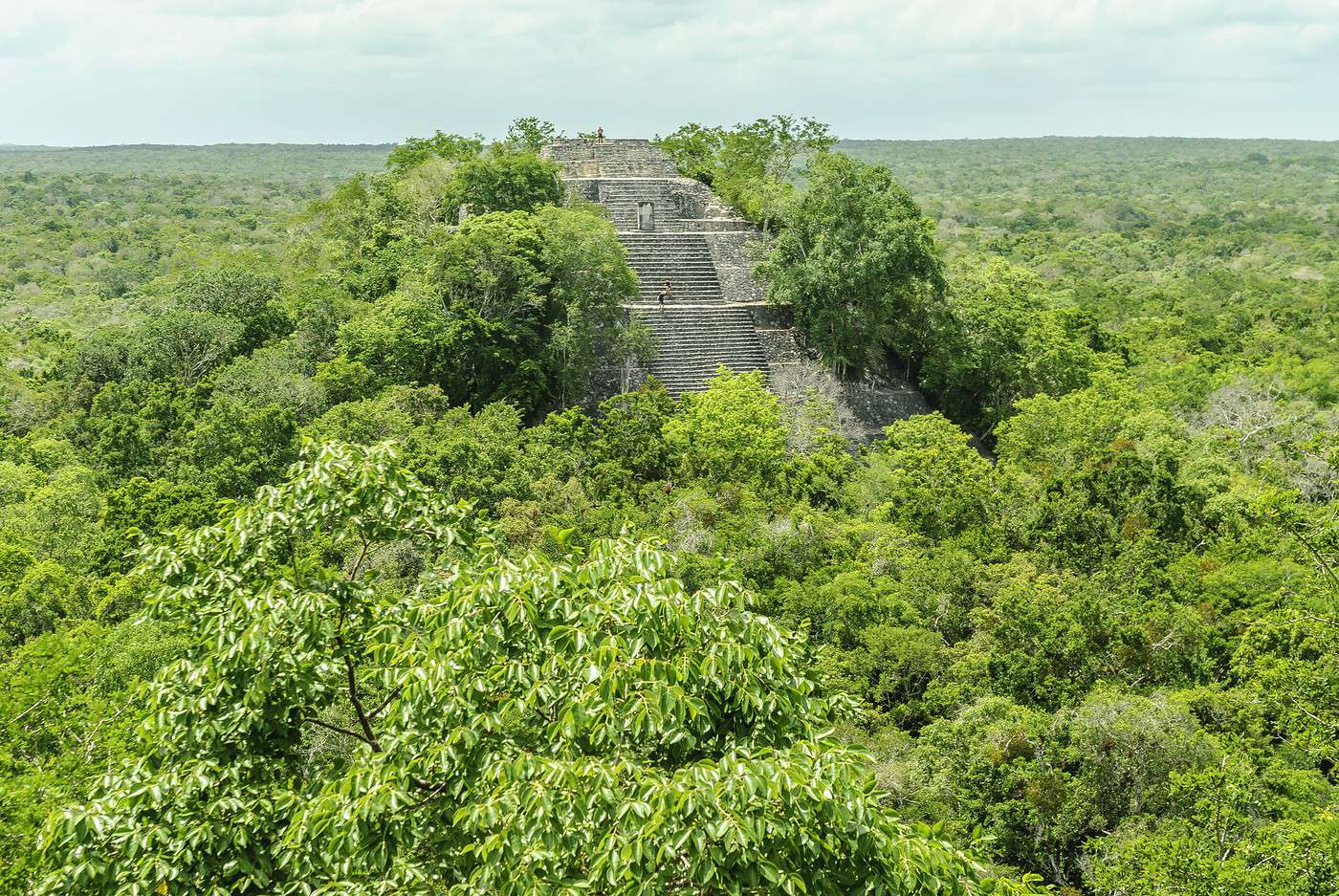R&eacute;serve de Calakmul, Mexique