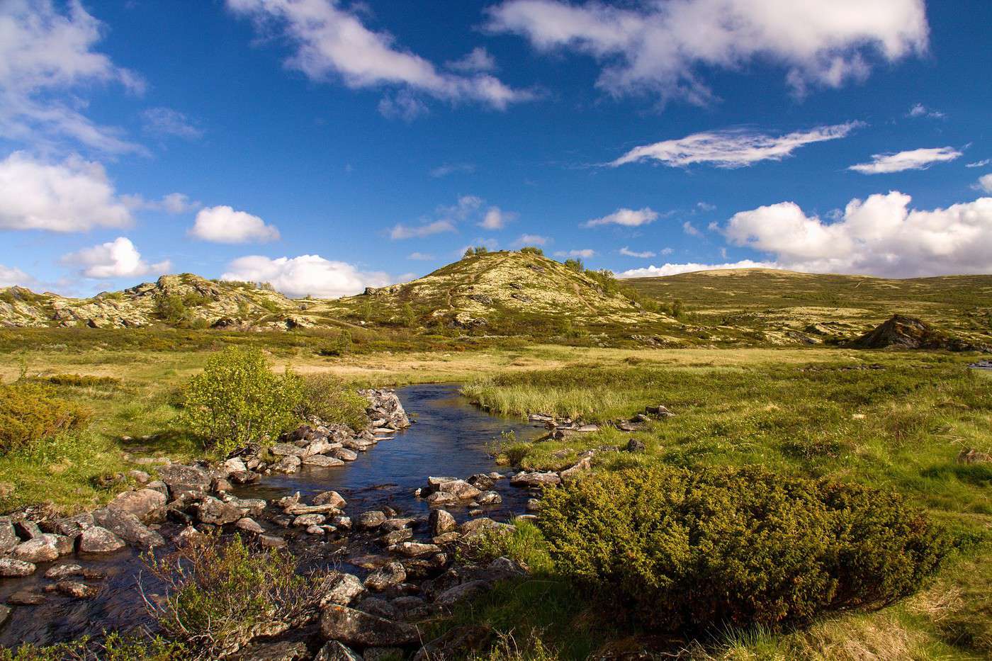 Dovrefjell, Norvège