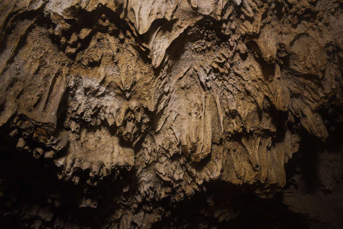 Grottes de Belum, Inde