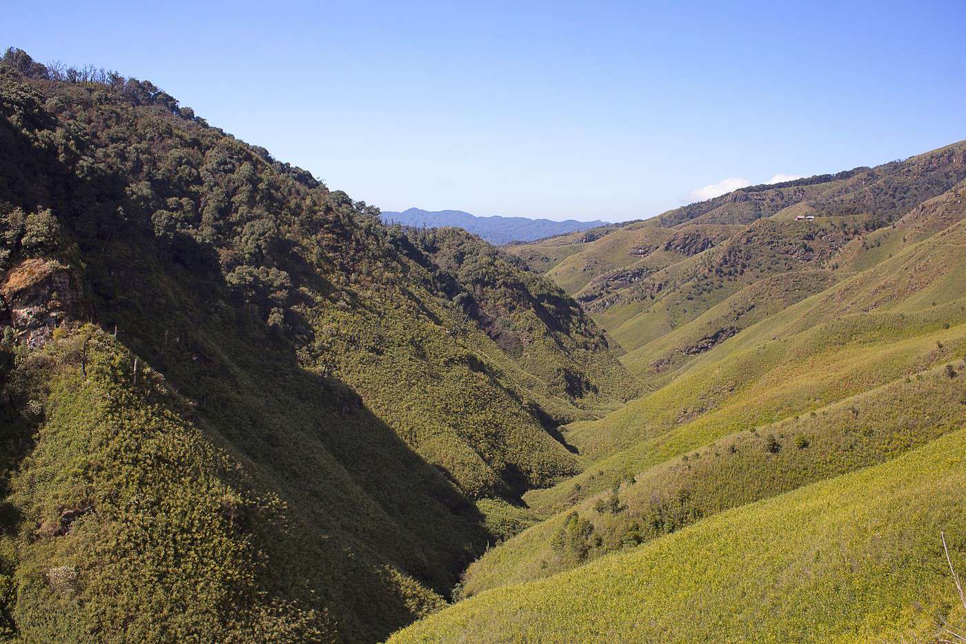Vall&eacute;e de Dzukou, Inde