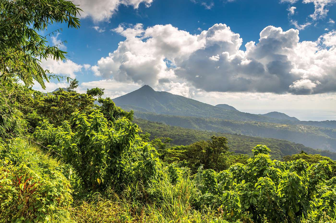 Parc national de Morne Diablotin, Dominique Parc national de Morne Diablotin, Dominique