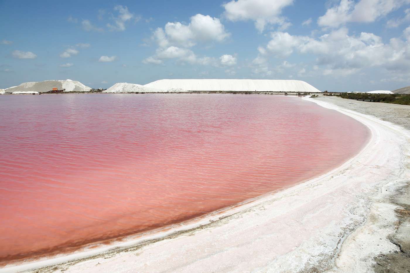 Salins d'Aigues-Mortes, Aigues-Mortes, Gard, France