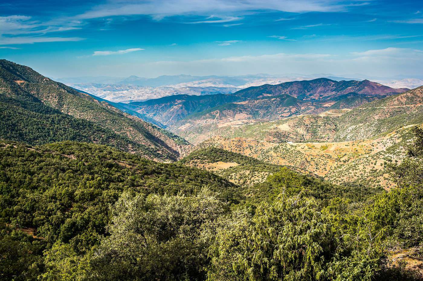 Parc national de Tazekka, Maroc Parc national de Tazekka, Maroc