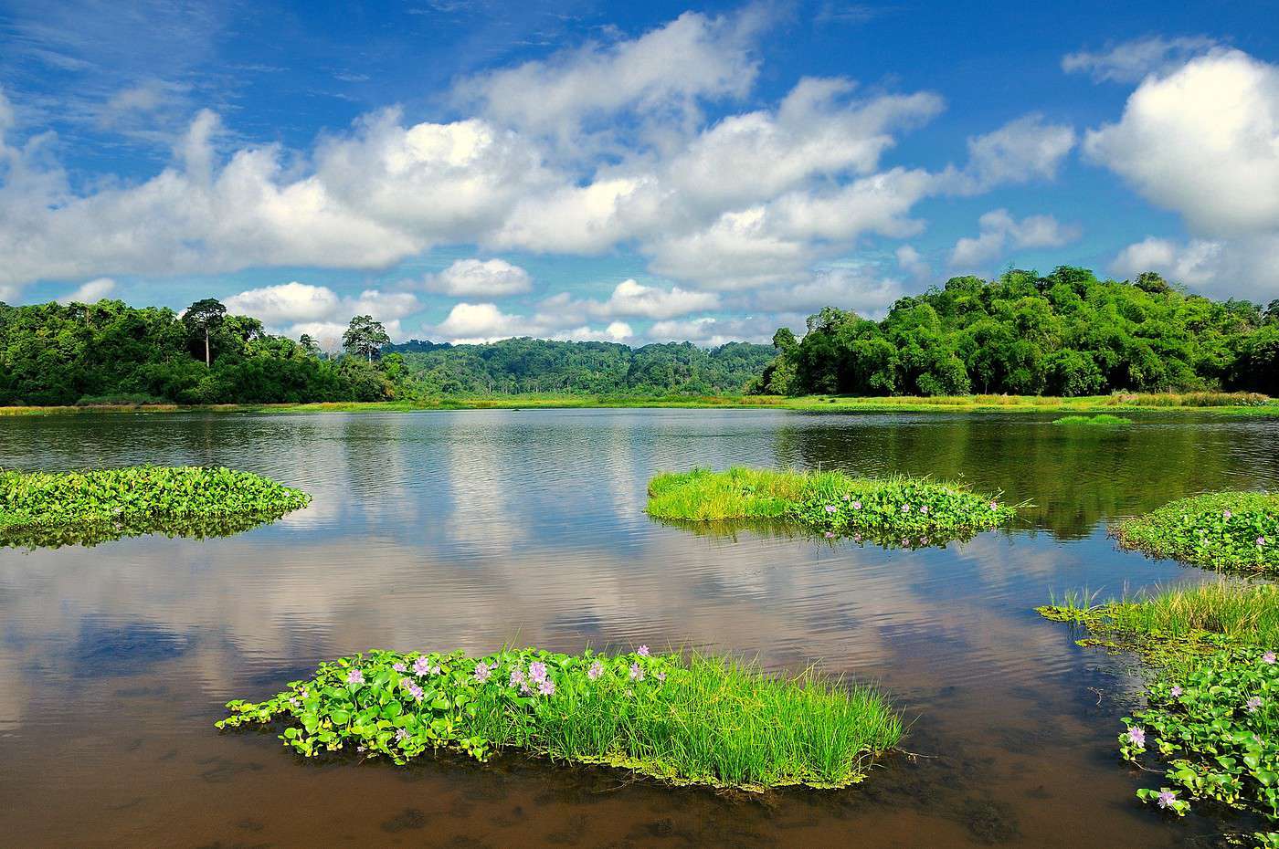 Parc national de Cat Ti&ecirc;n, Vietnam