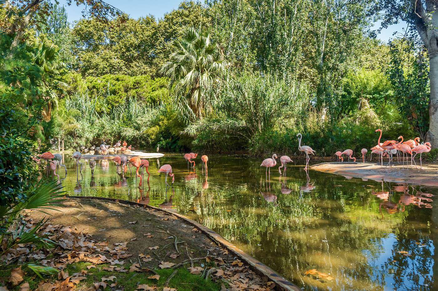 Zoo de Barcelone, Barcelone, Espagne
