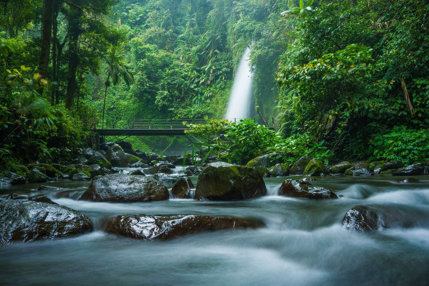 Parc national de Gunung Gede Pangrango, Indon&eacute;sie