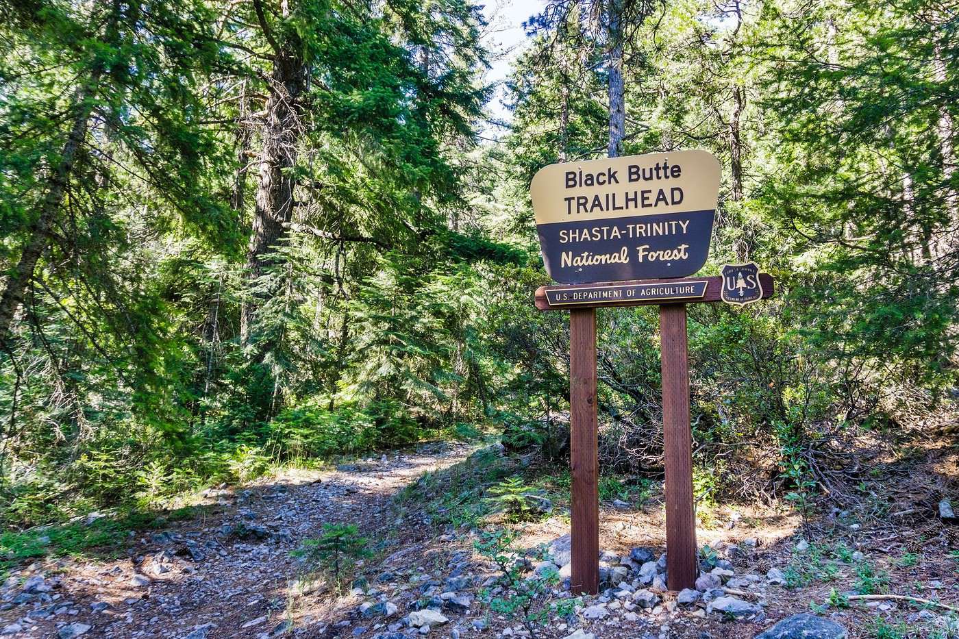 For&ecirc;t nationale de Shasta-Trinity, Californie, &Eacute;tats-Unis