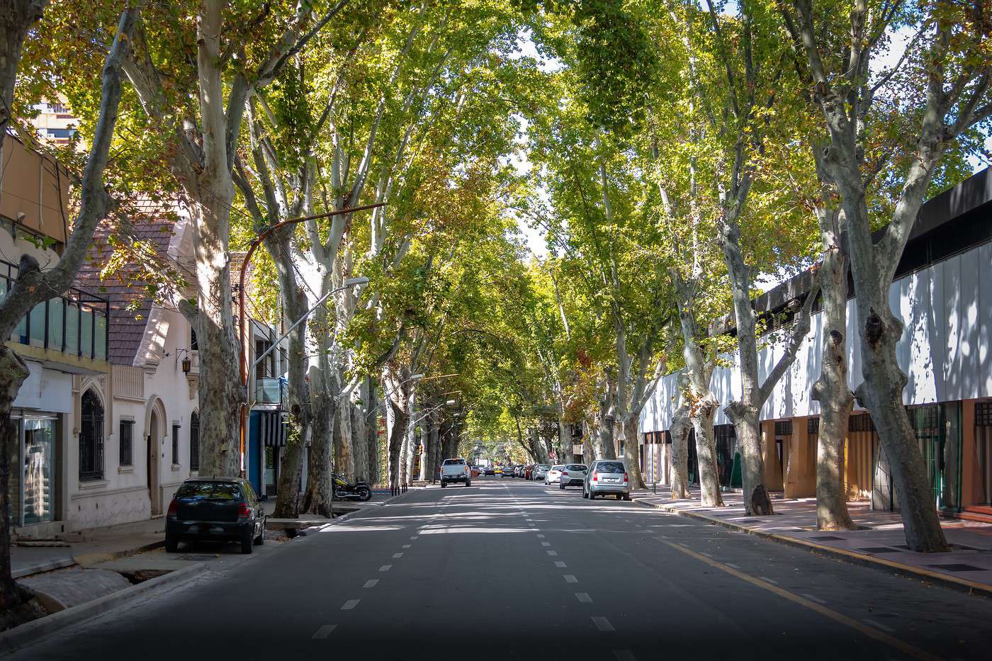 Mendoza, Argentine