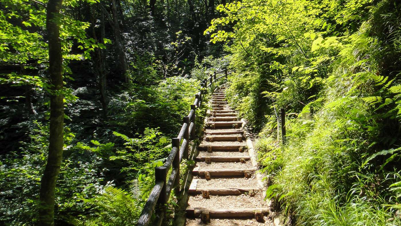 Shirakami-Sanchi, Japon
