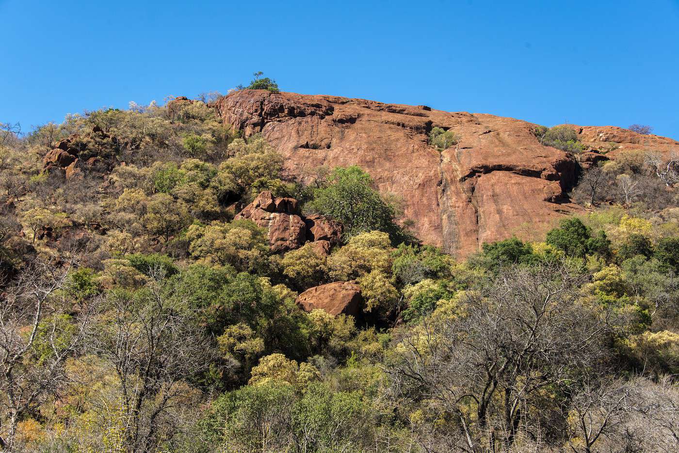 Parc national Pilanesberg, Afrique du Sud