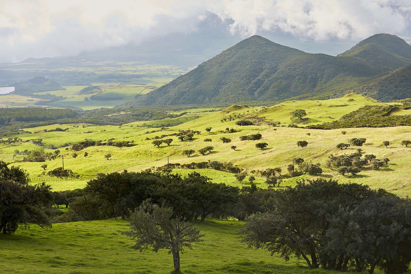 Plaine des Cafres, R&eacute;union