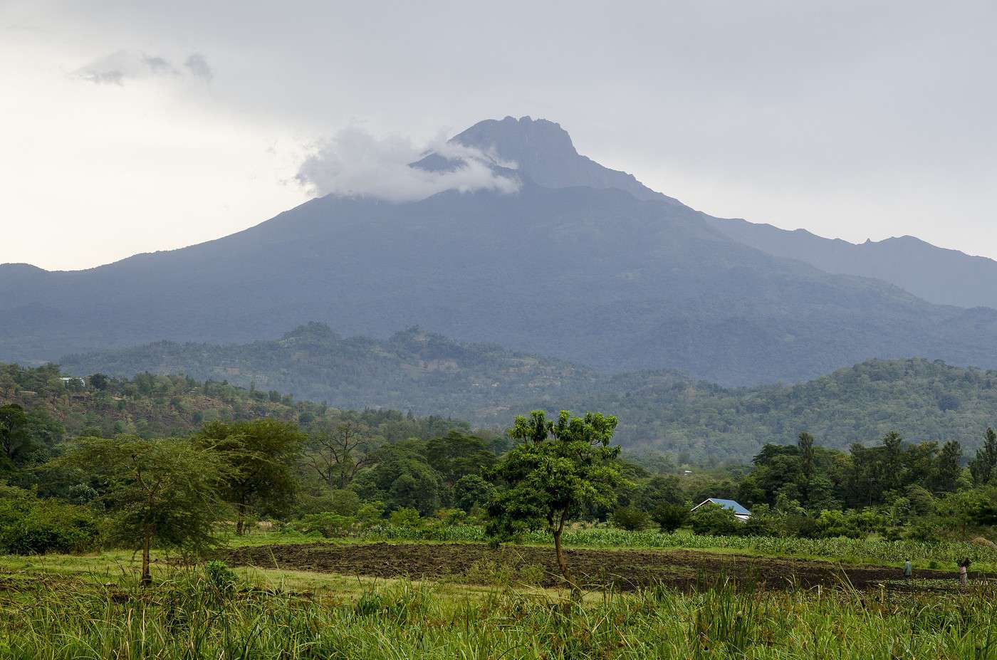 Mont Meru, Tanzanie