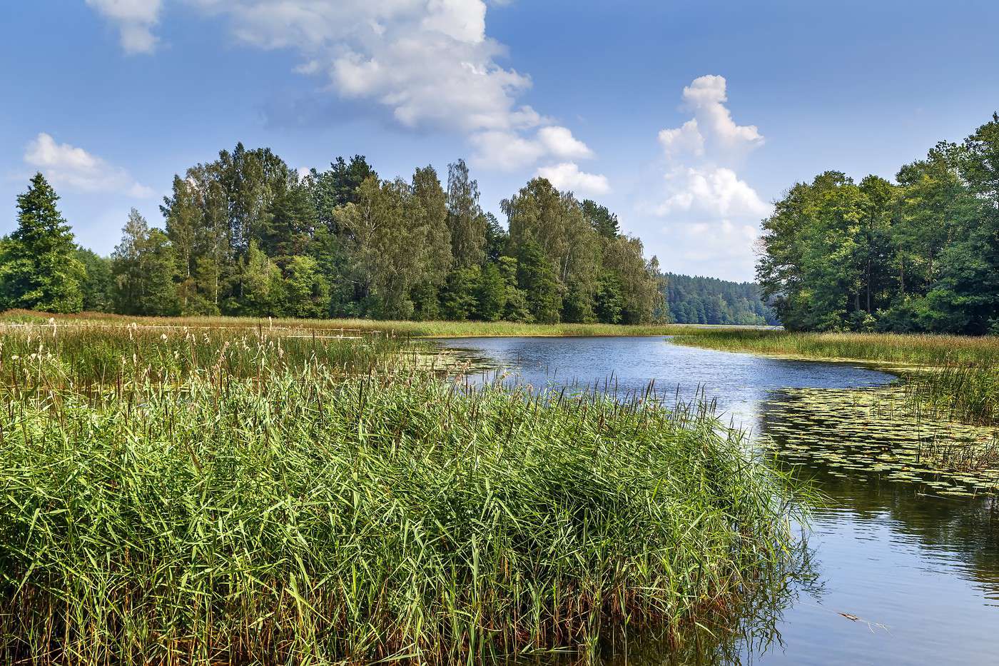 Parc National d'Aukstaitija, Lituanie