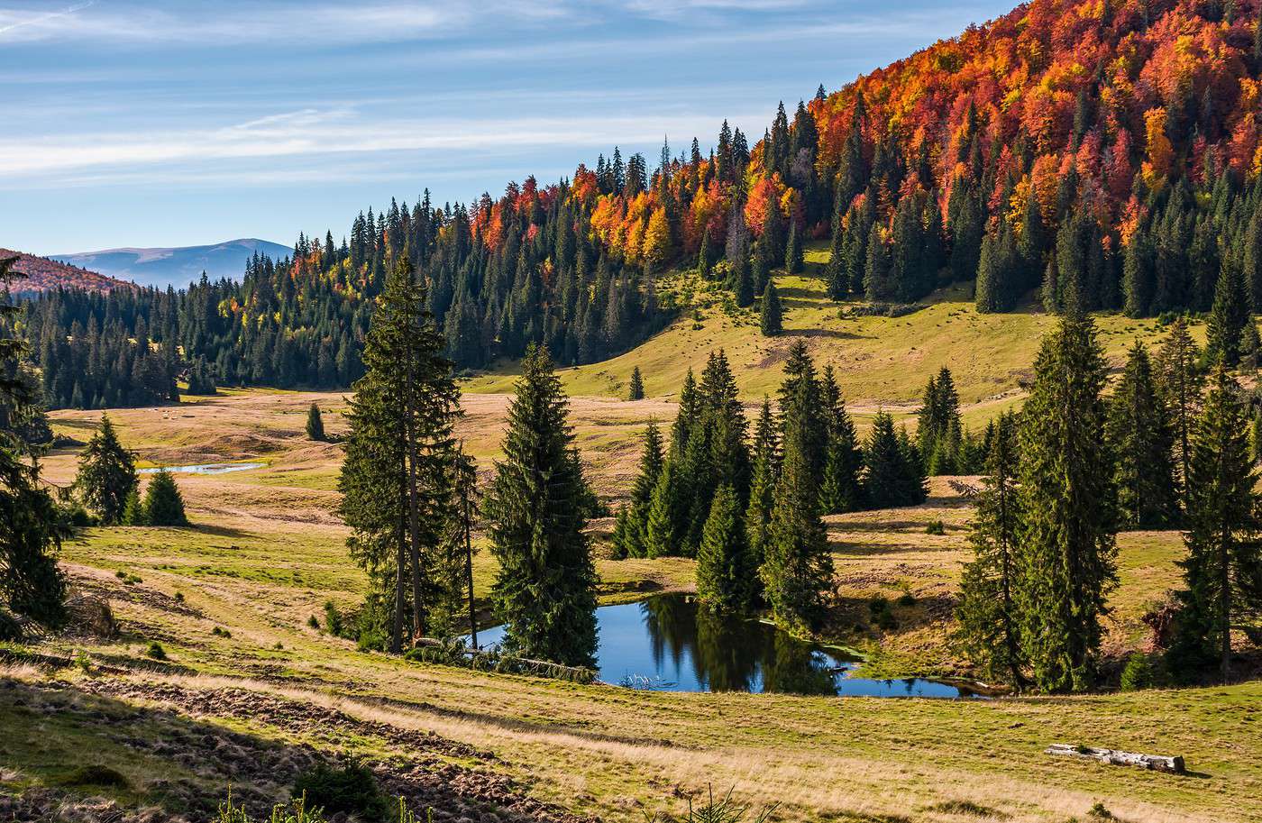 Parc naturel Apuseni, Roumanie