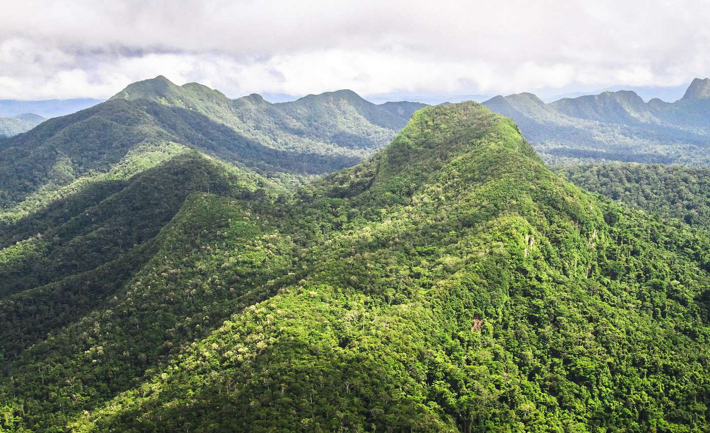 Cockscomb Basin, Belize