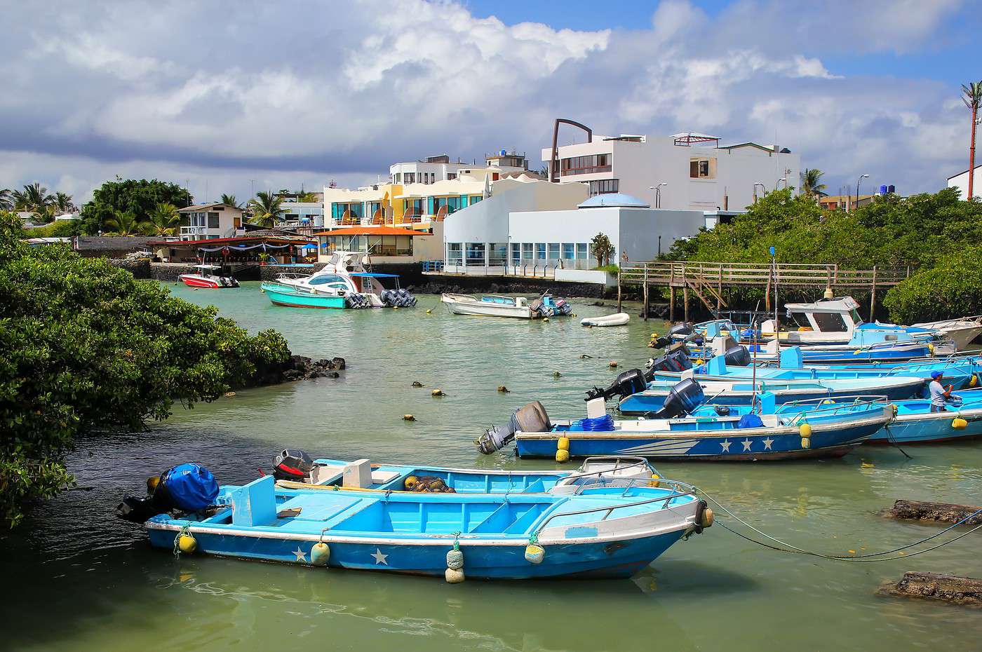 Santa Cruz, &Eacute;quateur