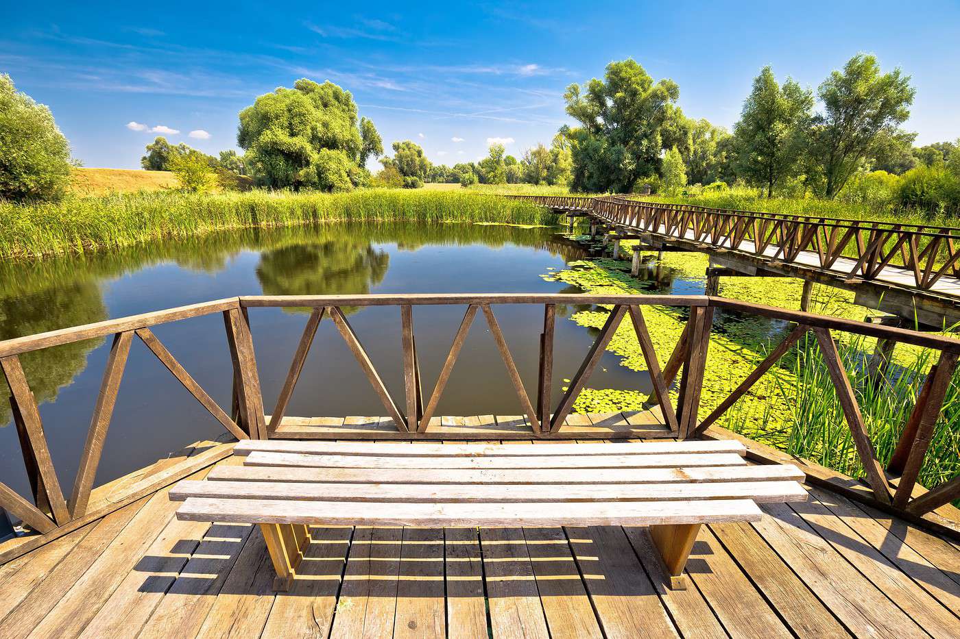 Kopacki Rit, Croatie