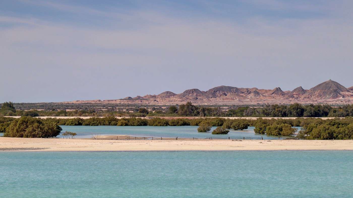 Réserve de Sir Bani Yas, Émirats Arabes Unis