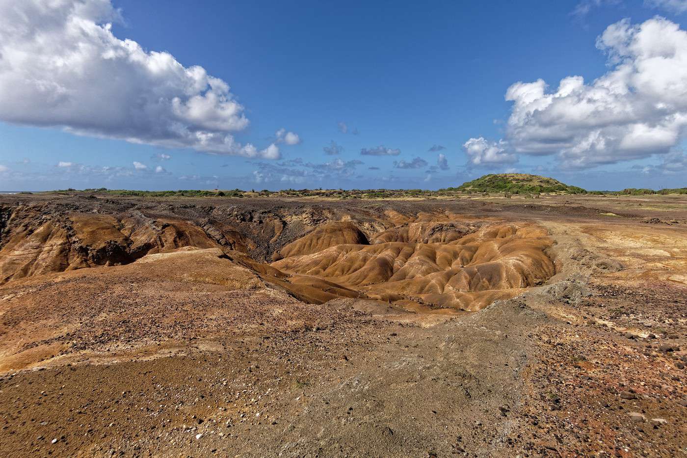 Savane des Petrifications, Martinique