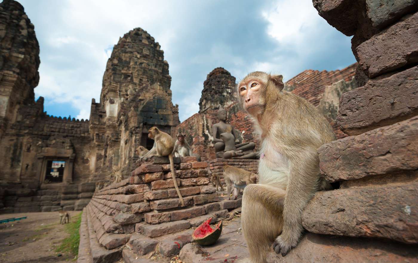 Lopburi, Tha&iuml;lande