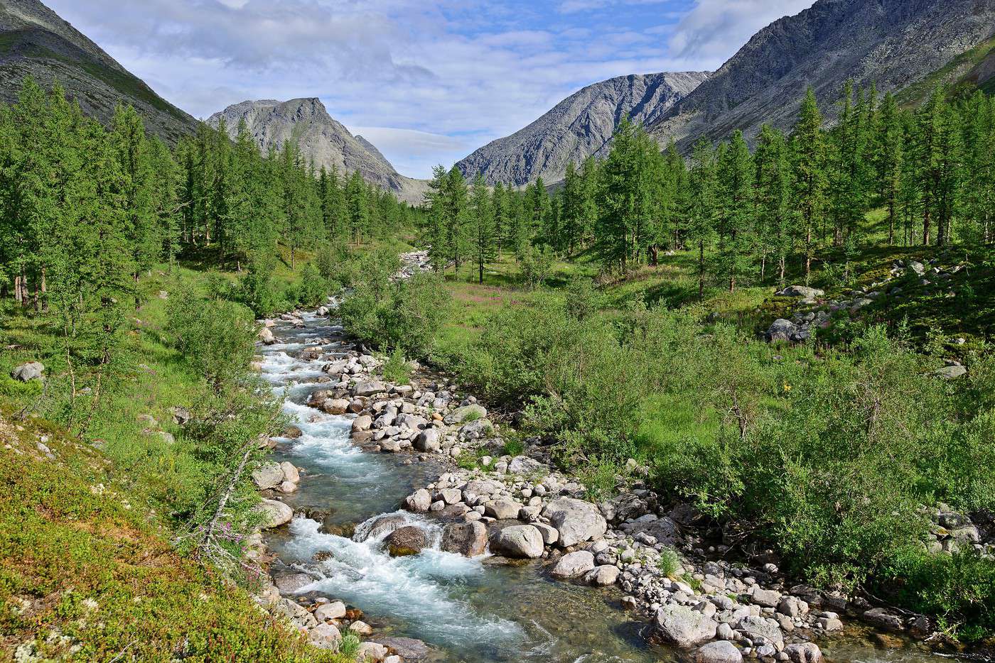 Forêts vierges de Komi, Russie Forêts vierges de Komi, Russie