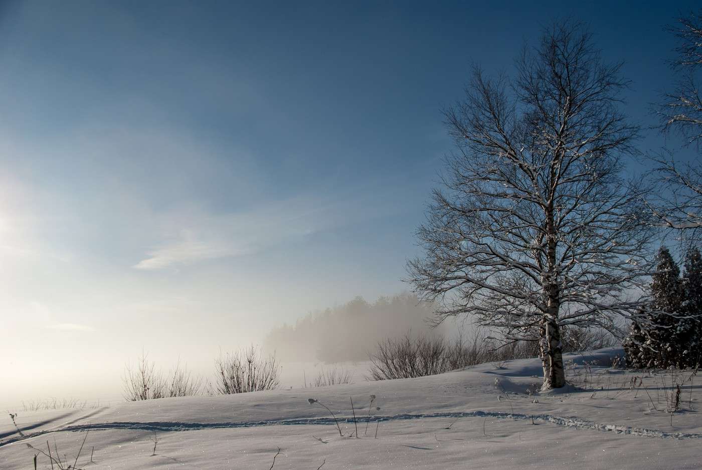 Parc national de Vodlozersky, Russie